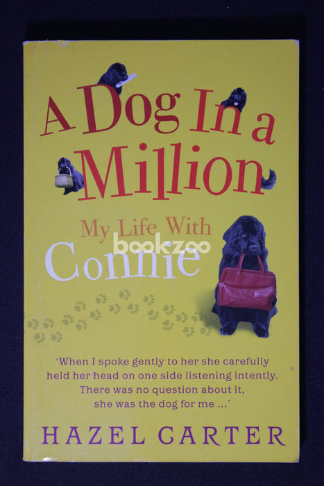 A Dog in a Million My Life with Connie