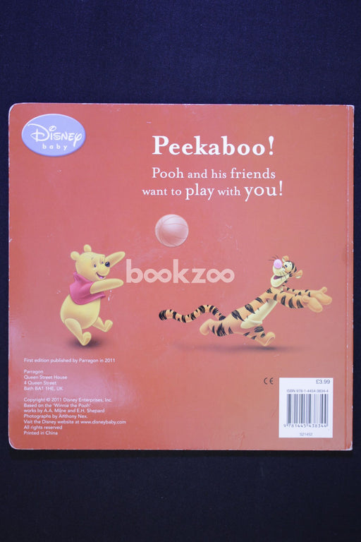 Play Time with Winnie the Pooh: Lift the Flap and See who is Waiting for You!