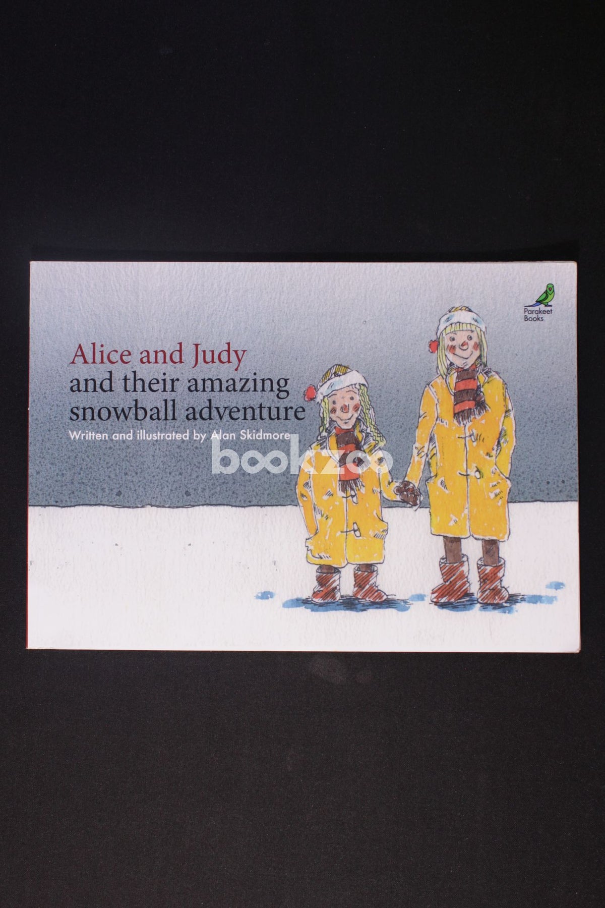 Buy Alice and judy and their amazing snowball adventure by Alan