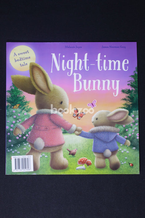 Night-Time Bunny