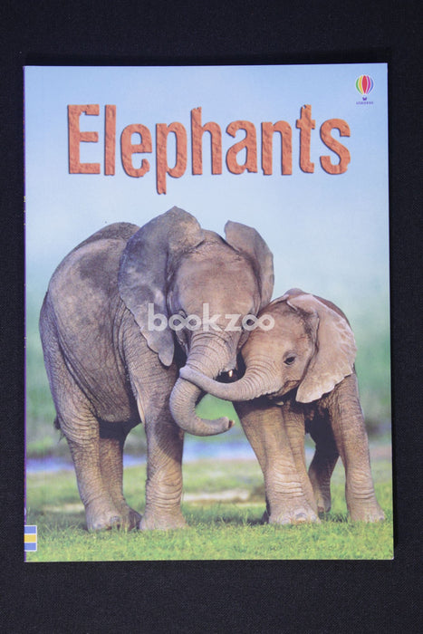 Usborne Beginners: Elephants