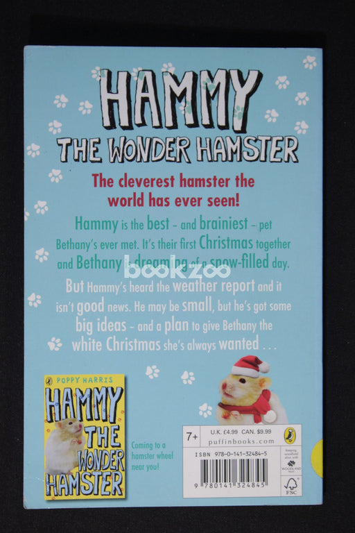 Happy Christmas Hammy the Wonder Hamster