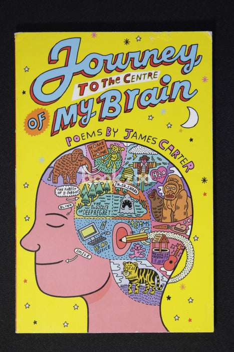 Journey to the Centre of My Brain