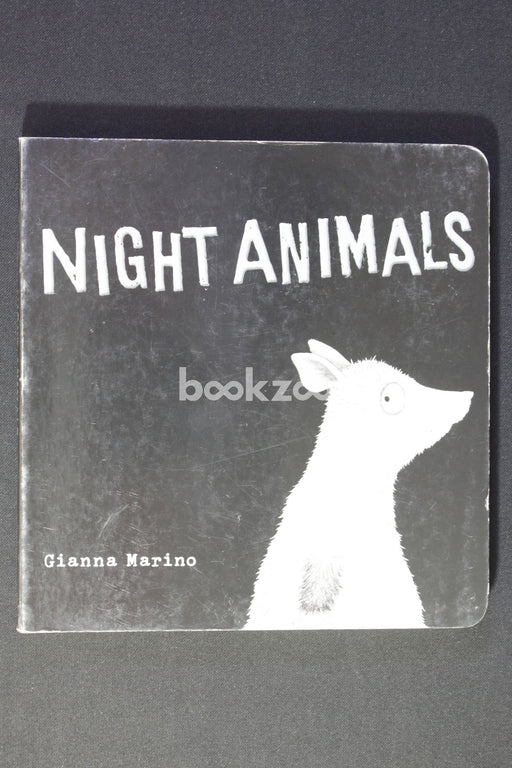 Night Animals