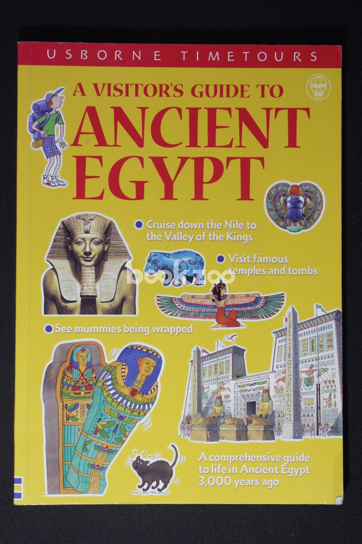 Buy A Visitor's Guide To Ancient Egypt by Lesley Sims at Online