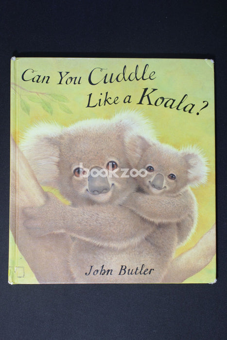 Can You Cuddle Like a Koala?
