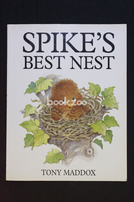Spike's Best Nest (A sparrow & owl story)