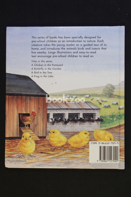 First Nature Books: Chicken in the Farmyard