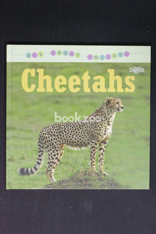 Readers Digest: Cheetahs