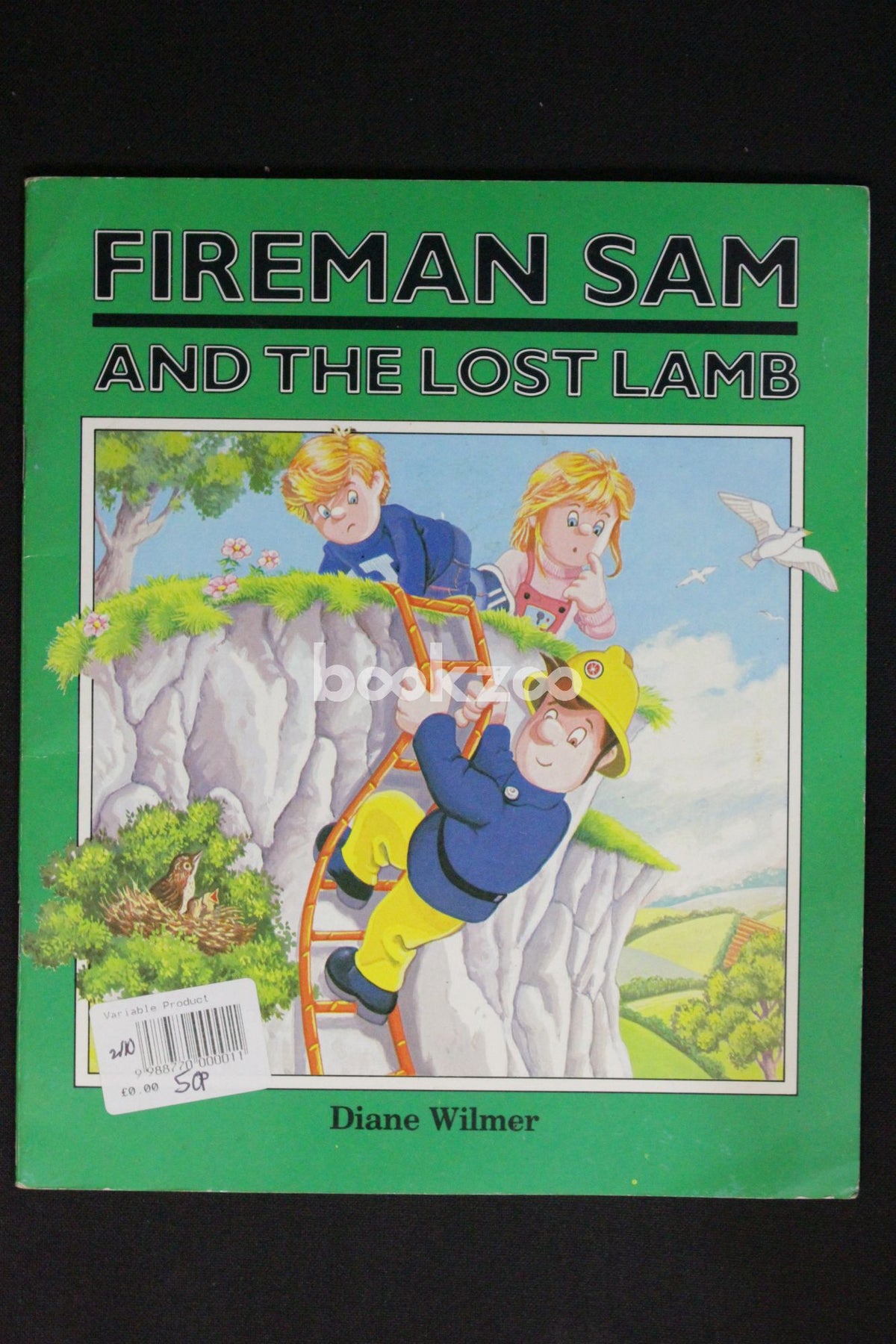 Buy Fireman Sam and the Lost Lamb by Diane Wilmer at Online bookstore ...