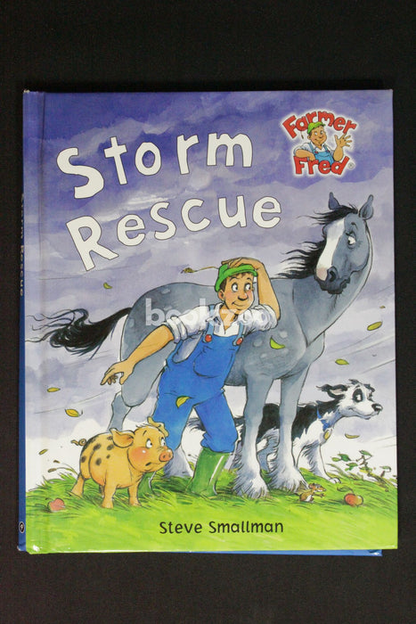 The Storm Rescue