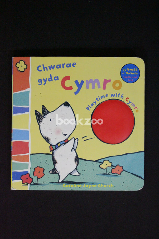 Chwarae Gyda Cymro / Playtime with Cymro