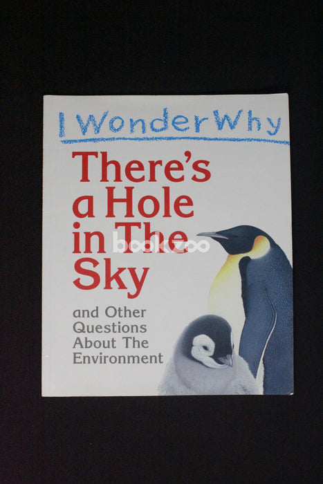 Holes  Wonder Book
