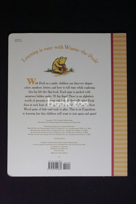 Winnie the Pooh's Giant Lift The-Flap