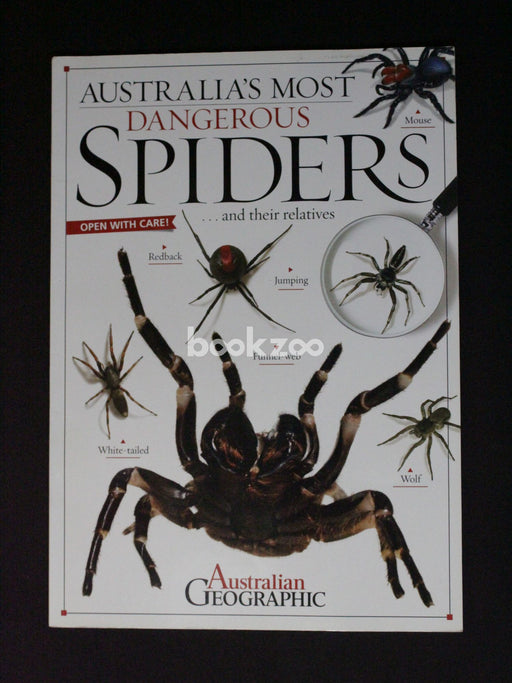 Australia's most dangerous spiders