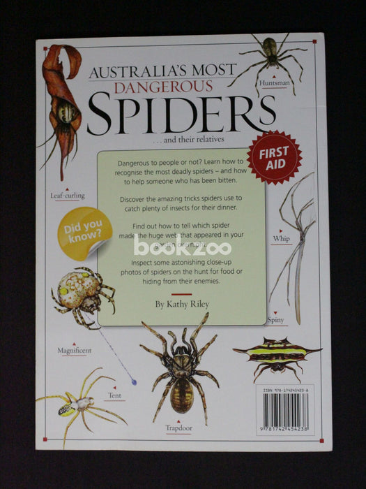 Australia's most dangerous spiders