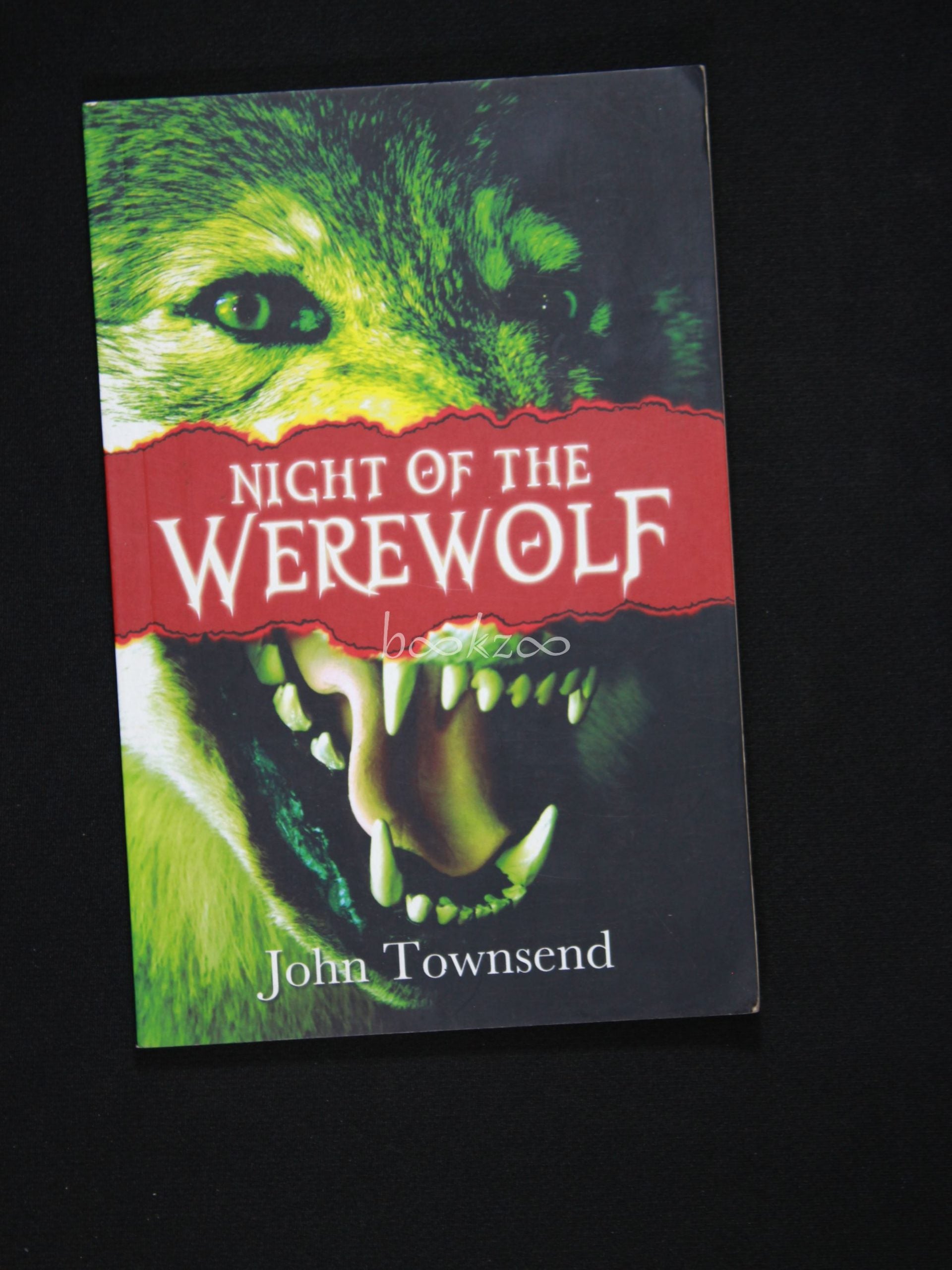 Night of the Werewolf by John Townsend (9781842997765/Paperback)