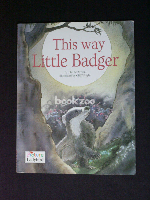 This Way Little Badger
