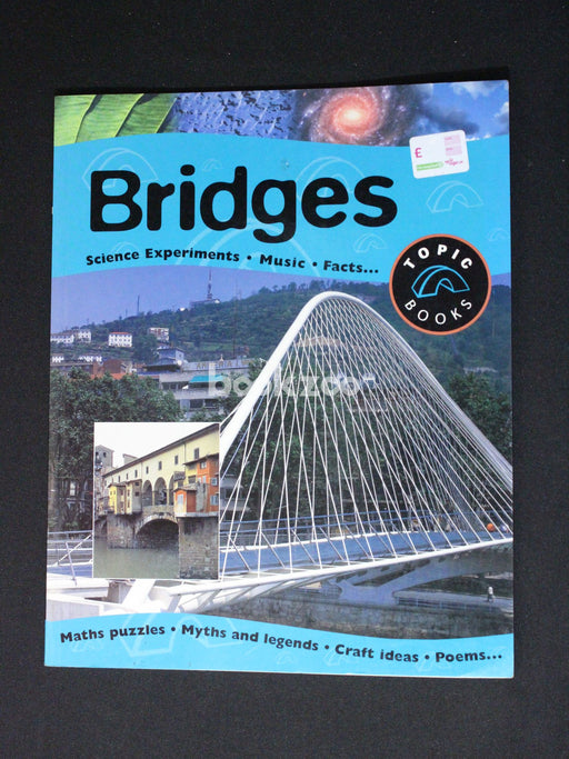 Bridges (Topic Books)