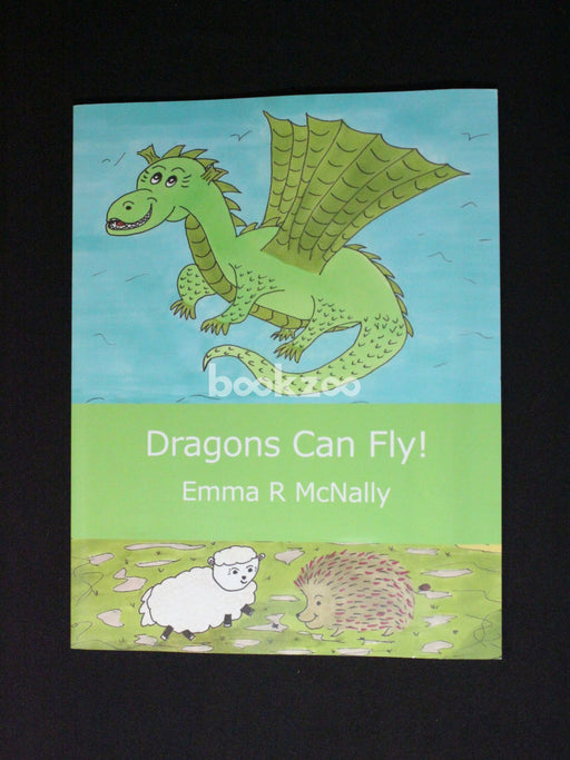 Dragons Can Fly!