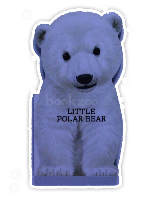 Little Polar Bear