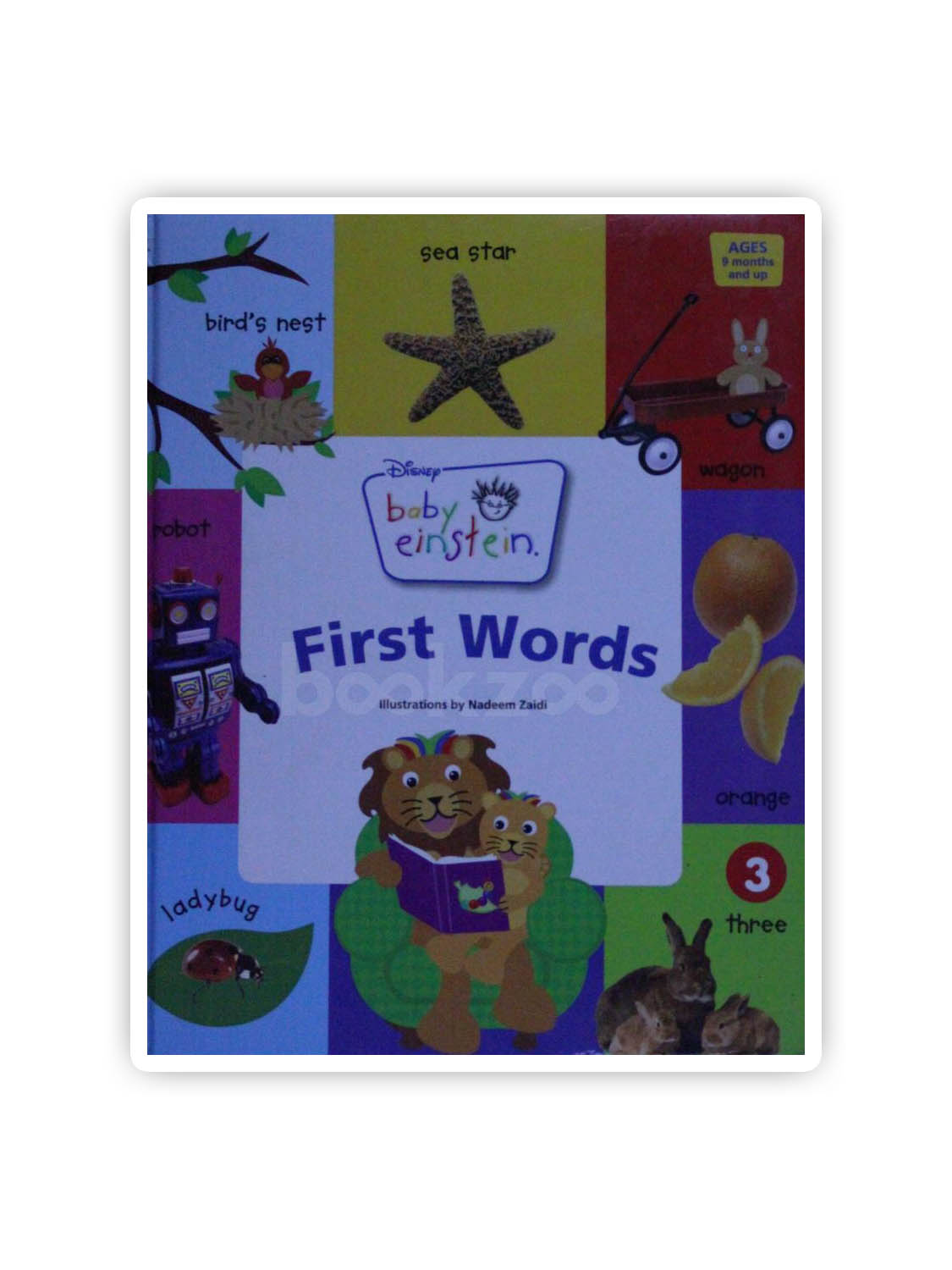 Buy First Words Baby Einstein by Julie Aigner Clark Nadeem