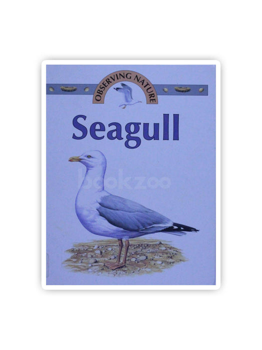 Seagull (Observing Nature)