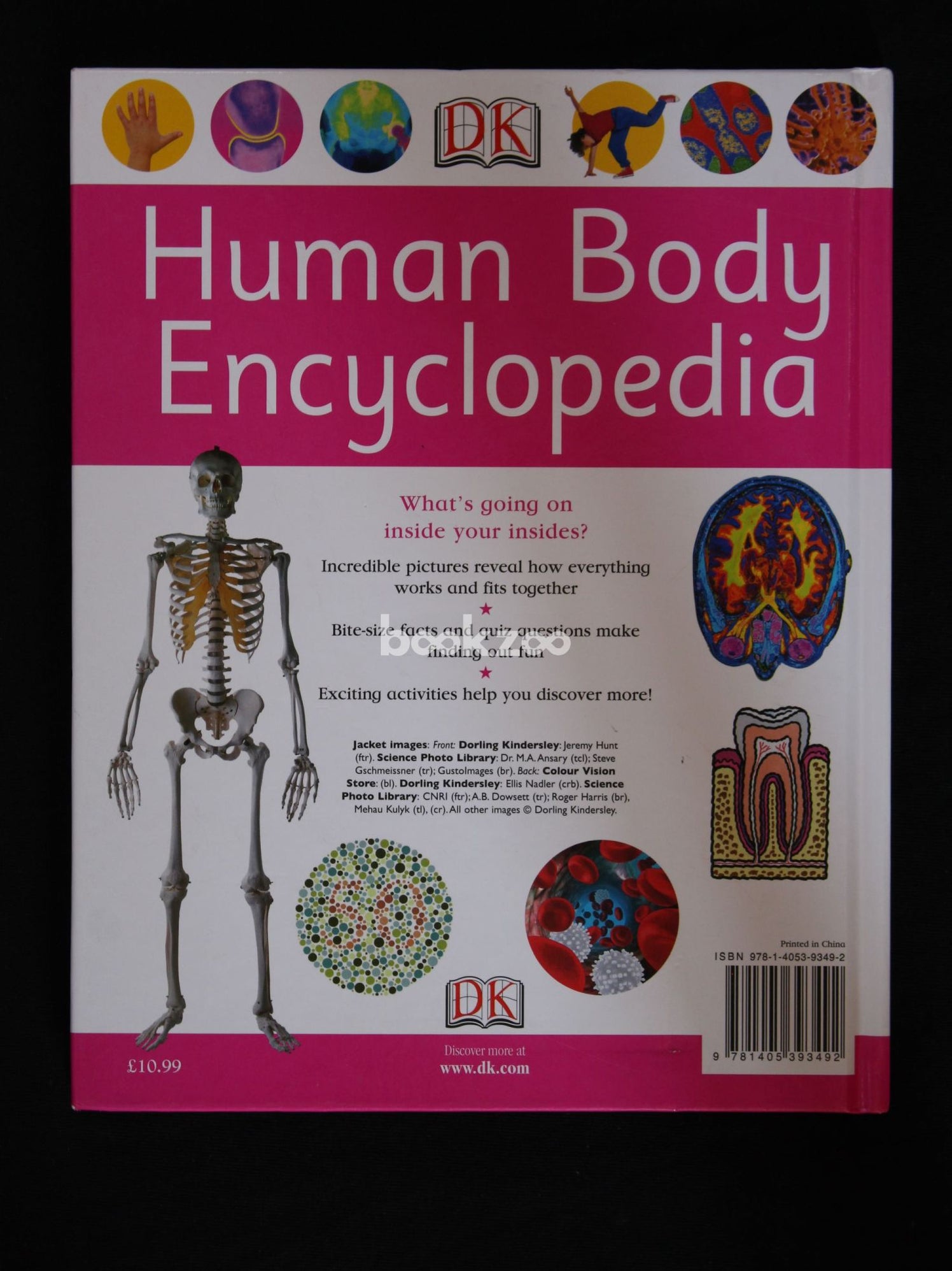 Buy Human body encyclopedia by Penny Smith at Online bookstore bookzoo.in — Bookzoo.in