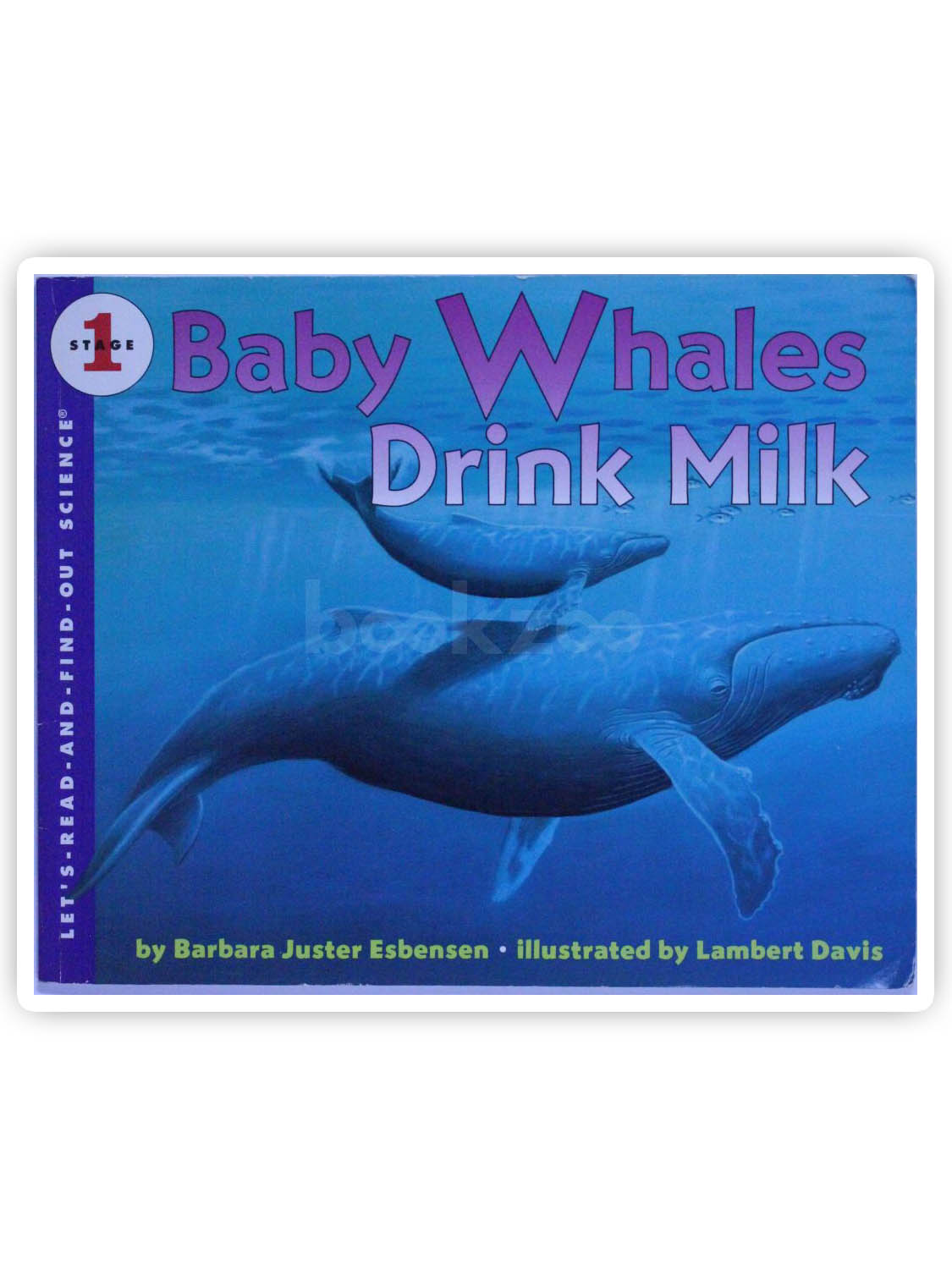 Buy Baby Whales Drink Milk By Barbara Juster Esbensen Lambert Davis At buy-baby-whales-drink-milk-by-barbara-juster-esbensen-lambert-davis-at