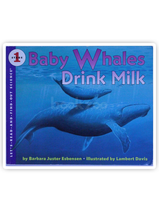 Baby Whales Drink Milk