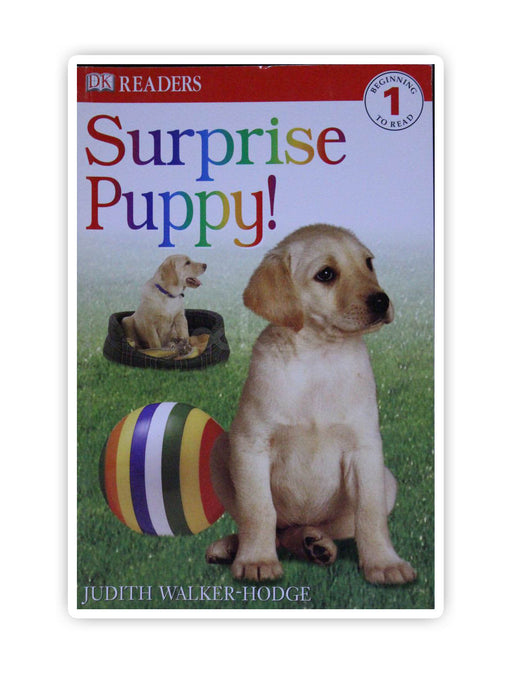 DK Readers: Surprise Puppy, Level 1