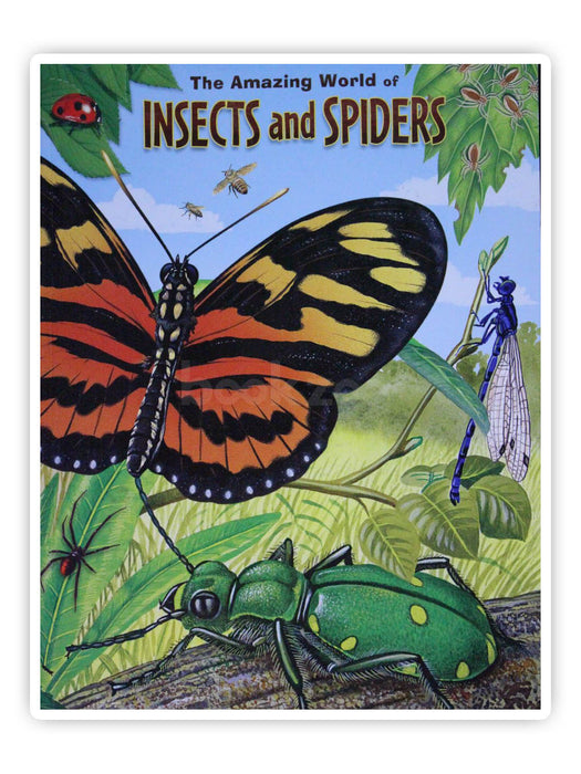 The amazing world of insects and spiders