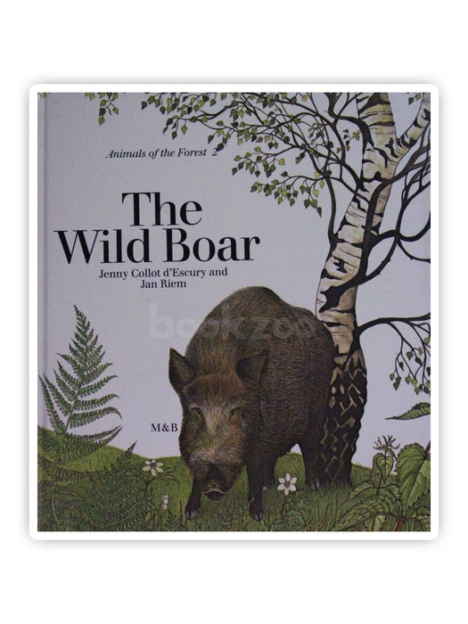 The wild Boar