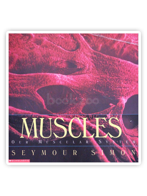 Muscles: Our Muscular System