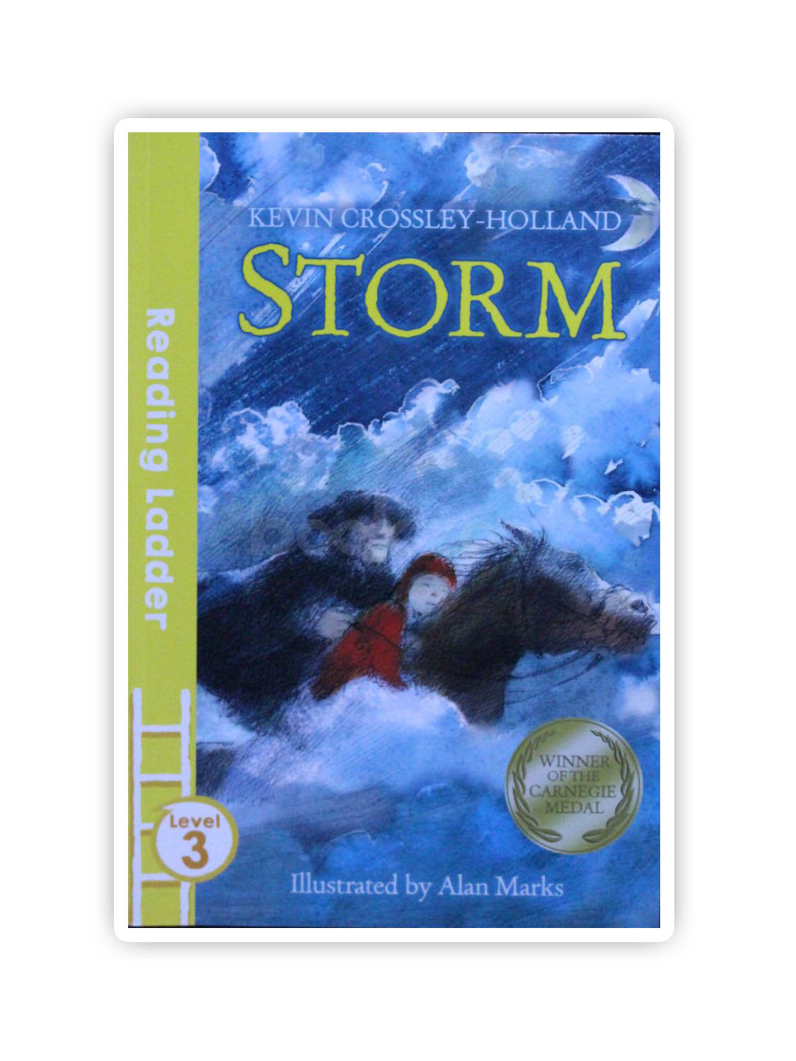 buy-storm-reading-ladder-level-3-by-alan-marks-kevin-crossley