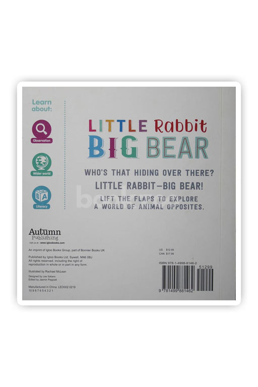 Little Rabbit, Big Bear