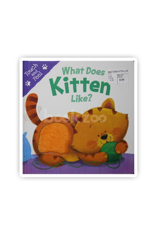 What Does Kitten Like: Touch Feel Board Book