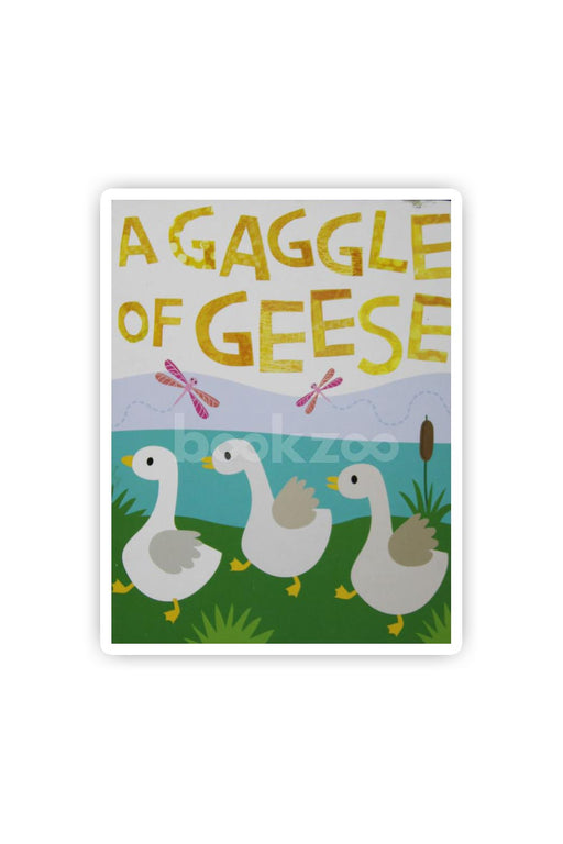 A Gagagle of Geese