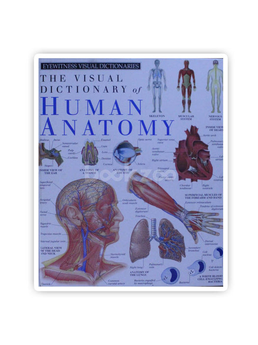 Visual Dictionary of Human Body