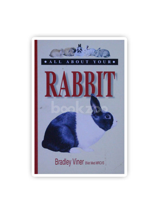 All about Your Rabbit
