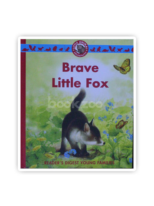 Brave little fox 
