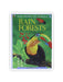 Rain forests(Wild world of animals)