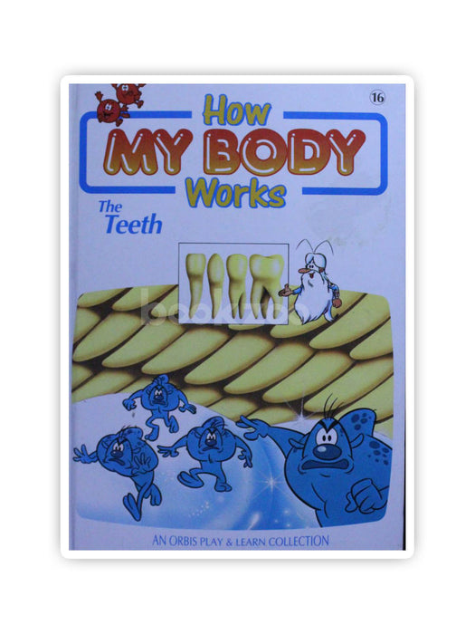 how my body works: the teeth