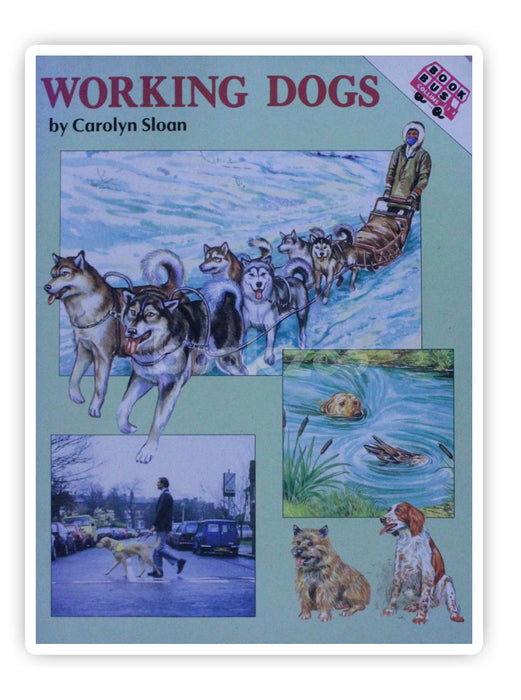 Working Dogs 