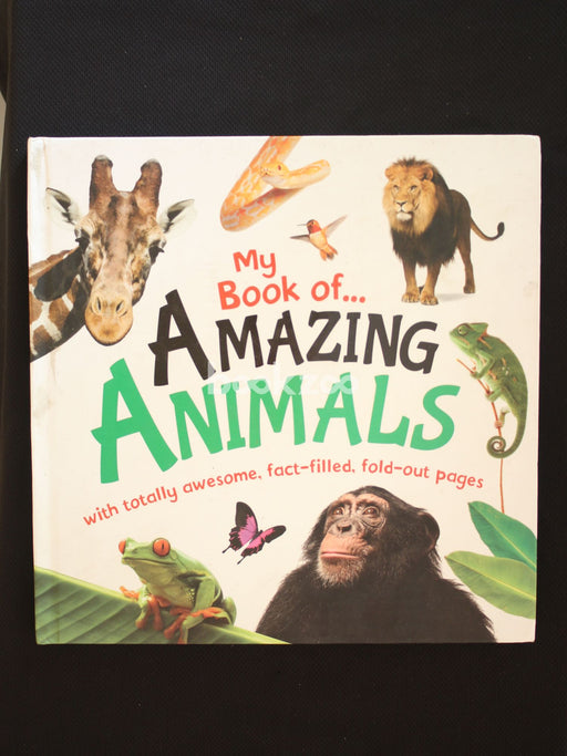 My Book of…AMAZING ANIMALS