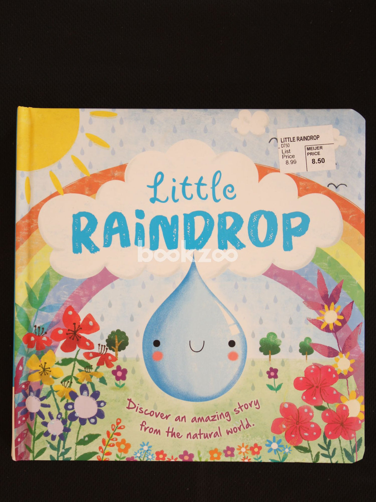 Buy Little Raindrop by Melanie Joyce at Online bookstore bookzoo.in ...