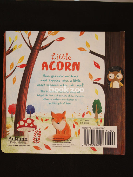 Little Acorn