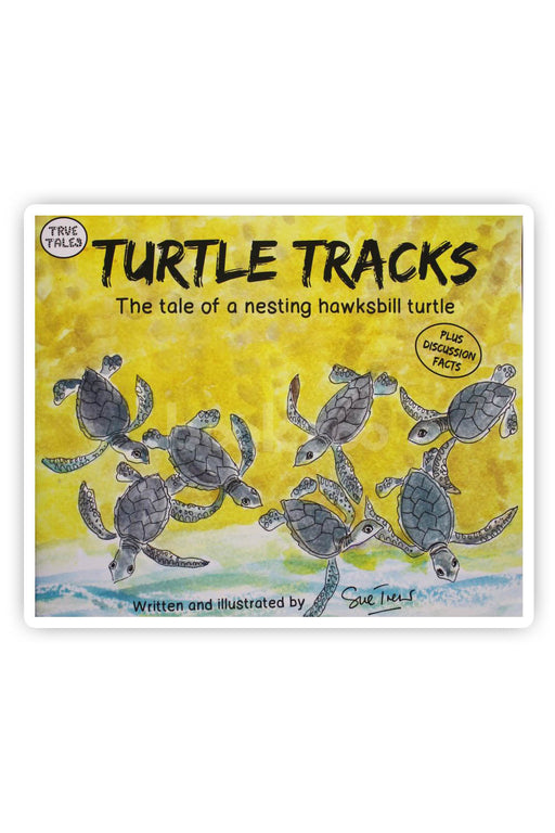 Turtle Tracks: the tale of the a nesting hawksbill turtle