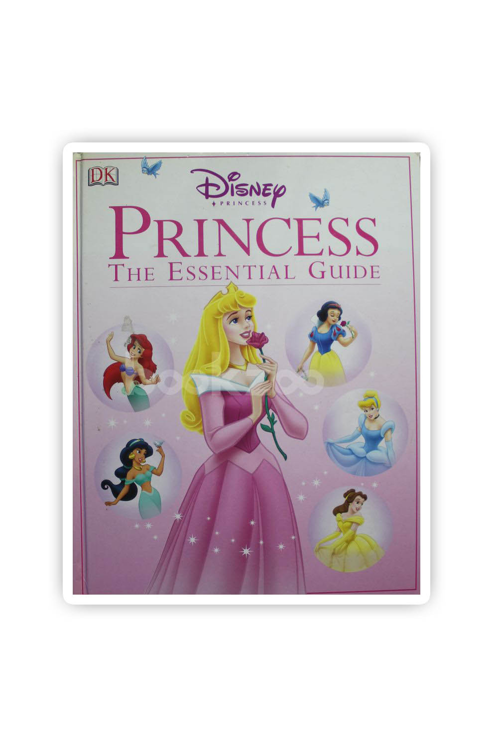 Disney Princess : The Essential Guide