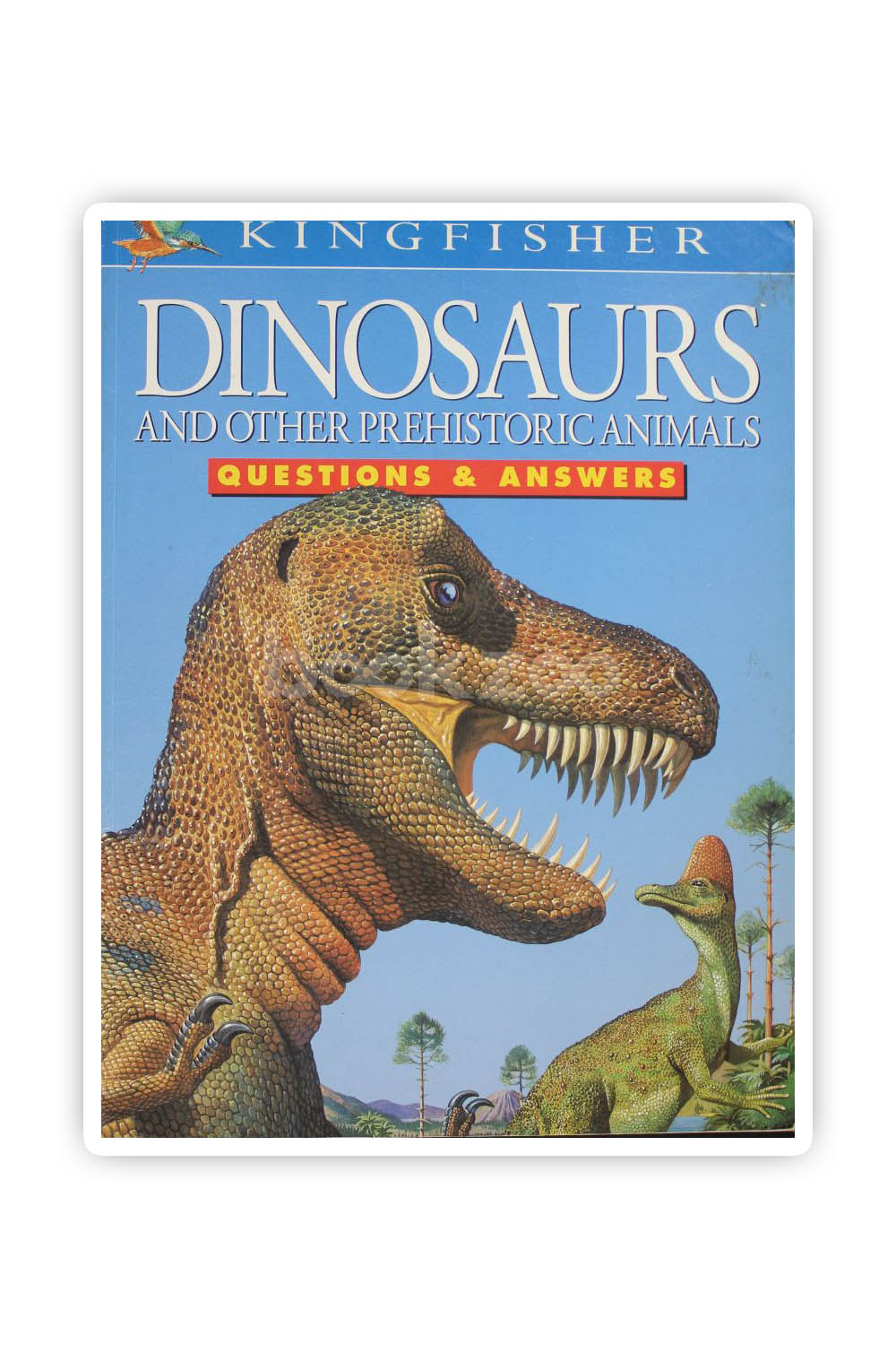 Buy Dinosaurs And Other Prehistoric Animals,Questions And Answers By ...